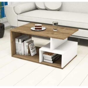 Coffee table 50×100 cm